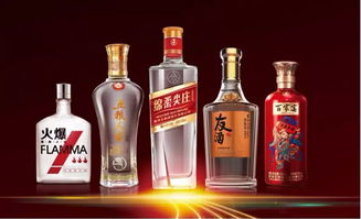 朋友圈再次擴大 時代汽車與五糧液系列酒公司達成戰略合作共識，共拓跨界食品銷售新路徑